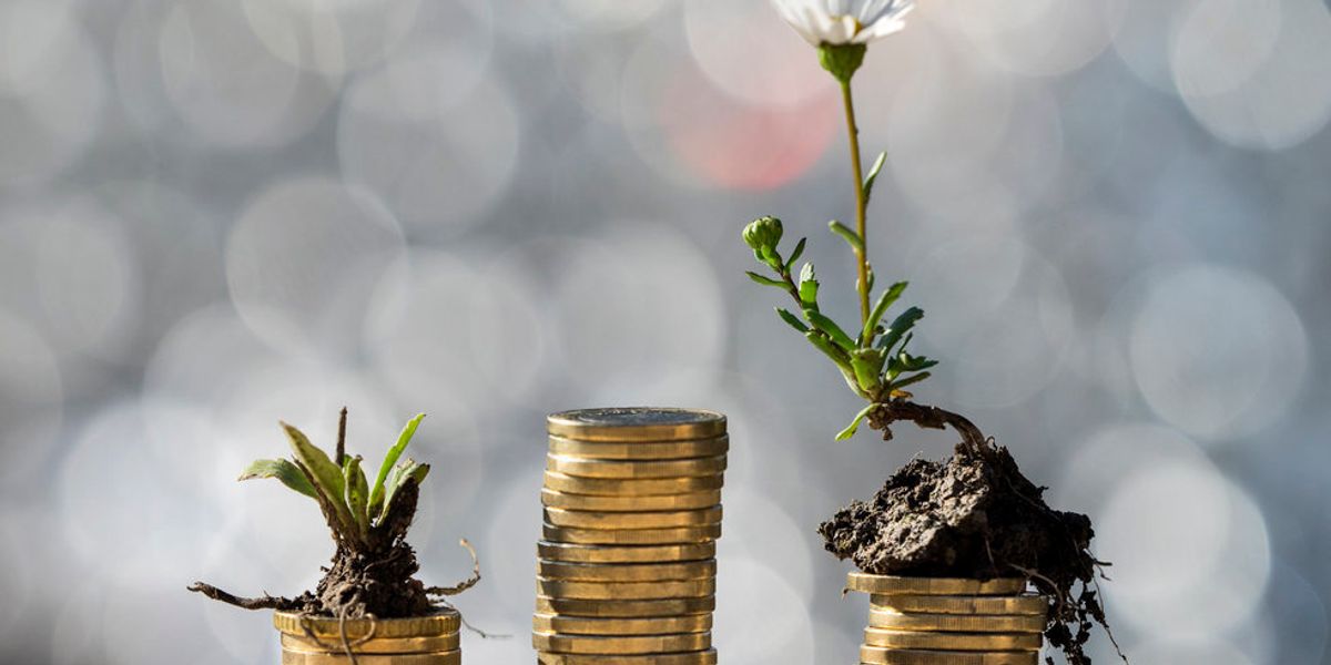 Houston e-commerce company raises another M round to guidance development Houston e-commerce company raises another M round to guidance development