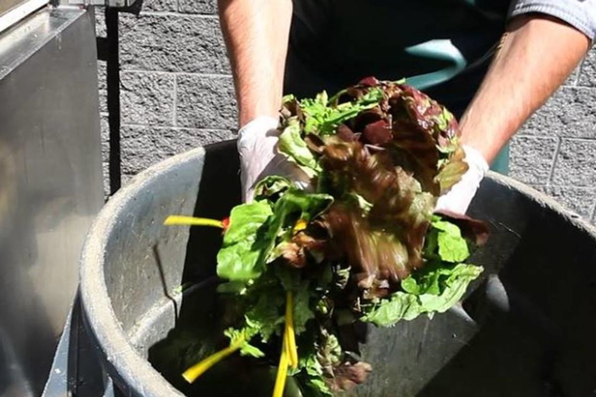 France has started forcing supermarkets to donate food instead of throwing it away.