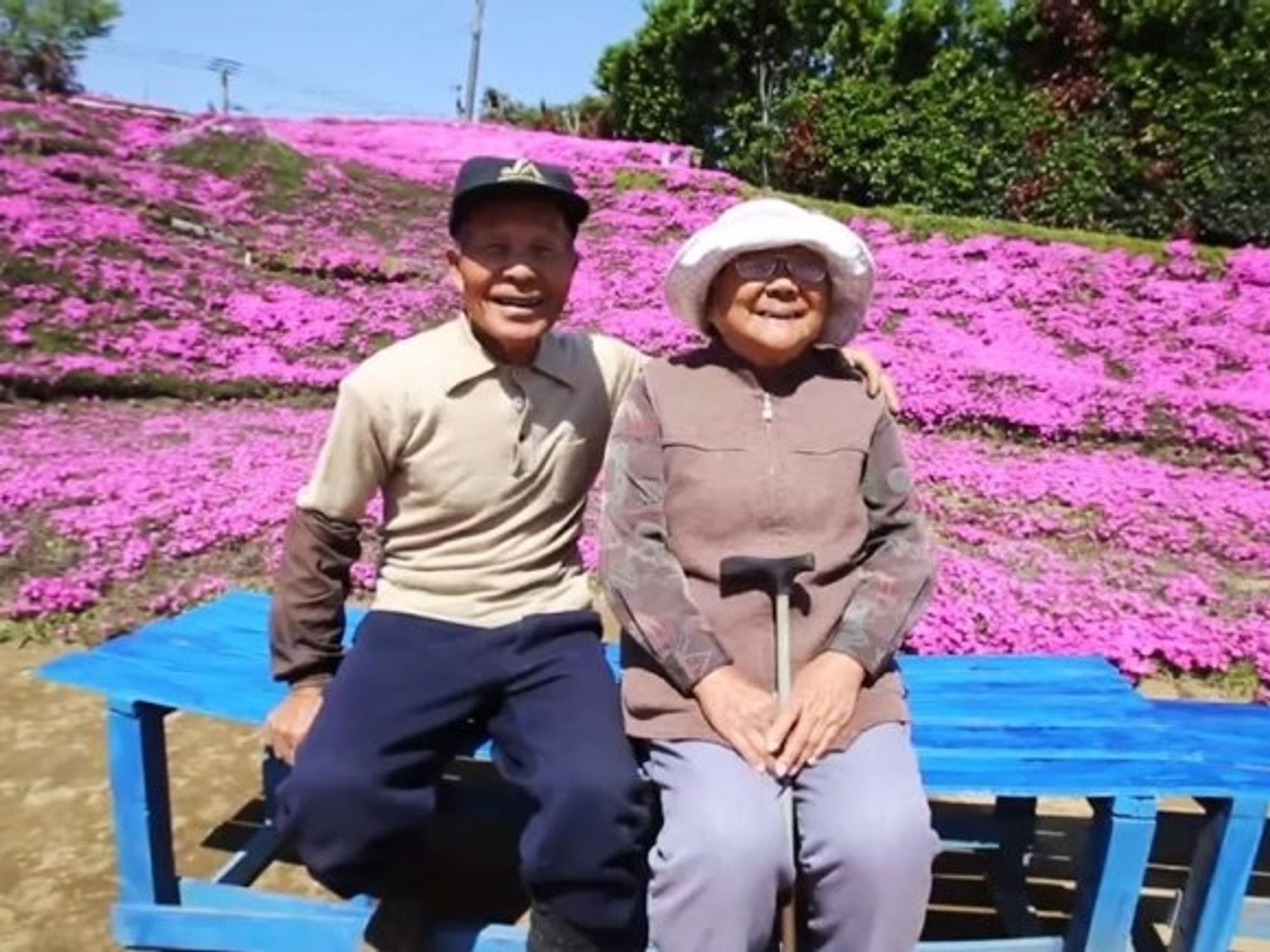 Husband spends 2 years planting thousands of flowers to bring his blind  wife joy. - Upworthy