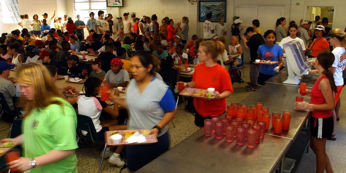 BPA substitutes linked to obesity in children and teens