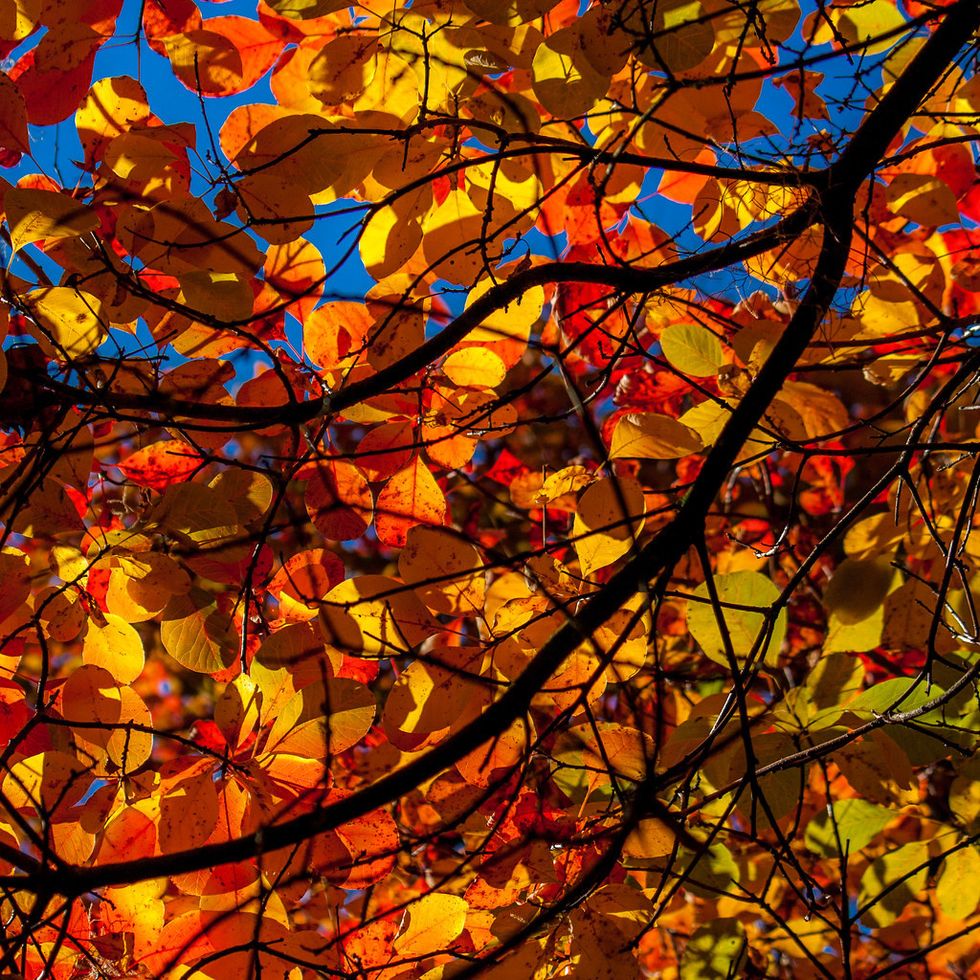 10 Reasons Why Autumn Beats Summer At Everything