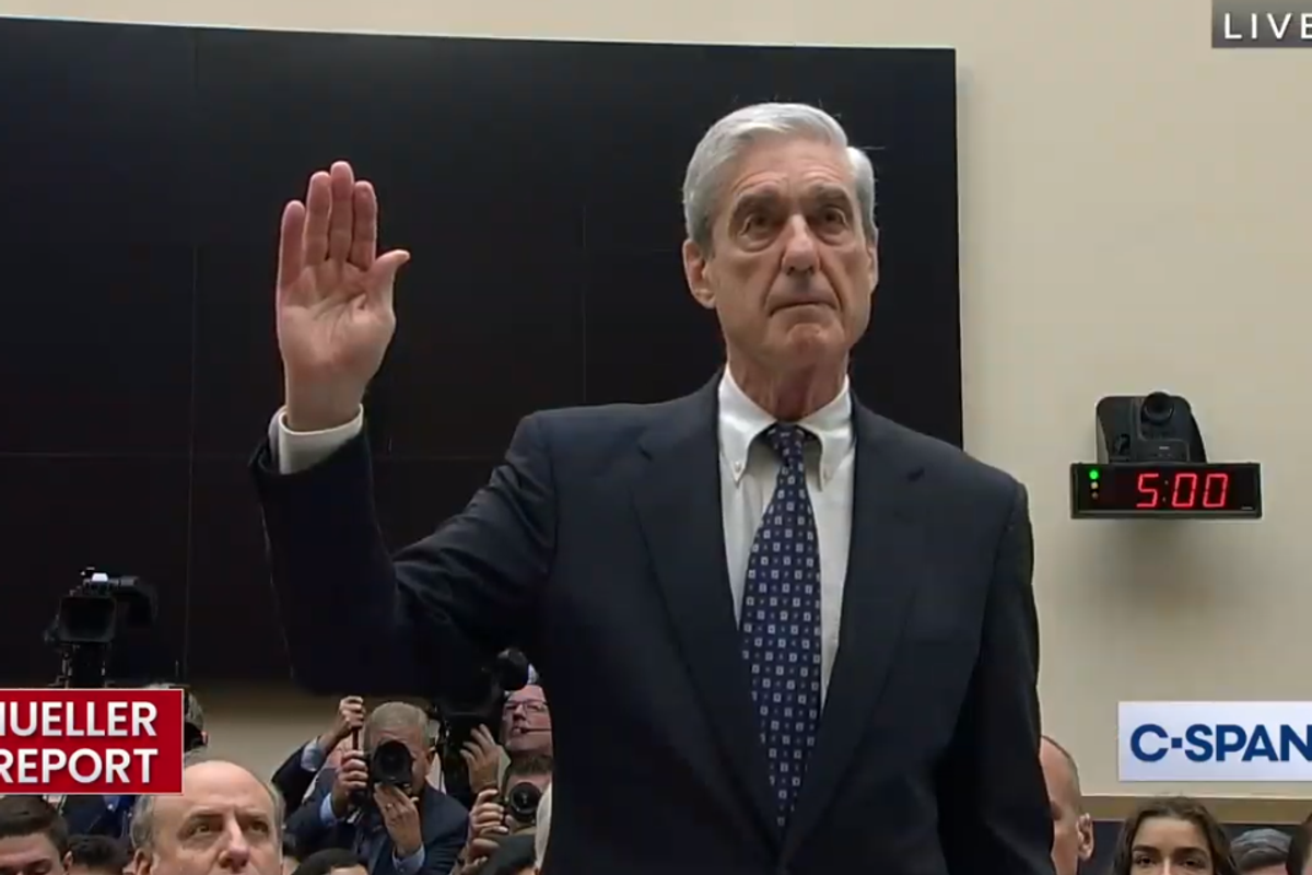 Does The Trump Campaign Not Realize Judges Can Actually Read The Mueller Report For Themselves?