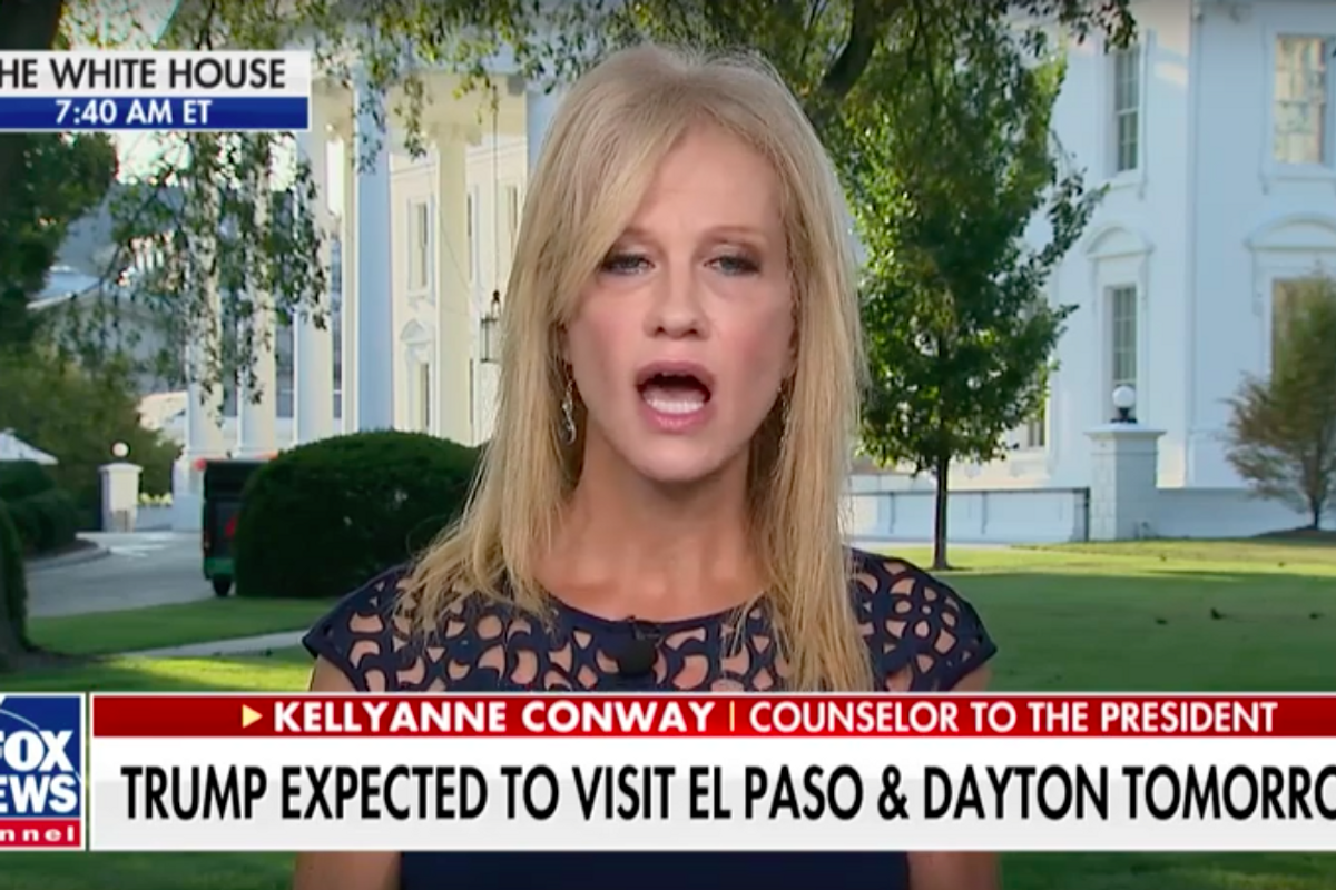 Oh, You Thought Kellyanne Conway WASN'T Going To Blame Obama?