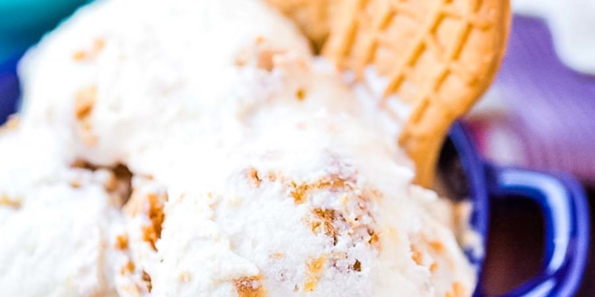 Nutter Butter Ice Cream My Recipe Magic