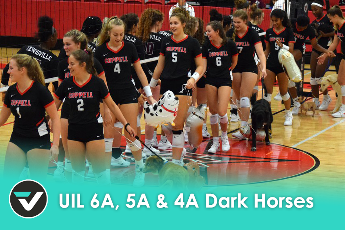 DFW Volleyball UIL Dark Horses