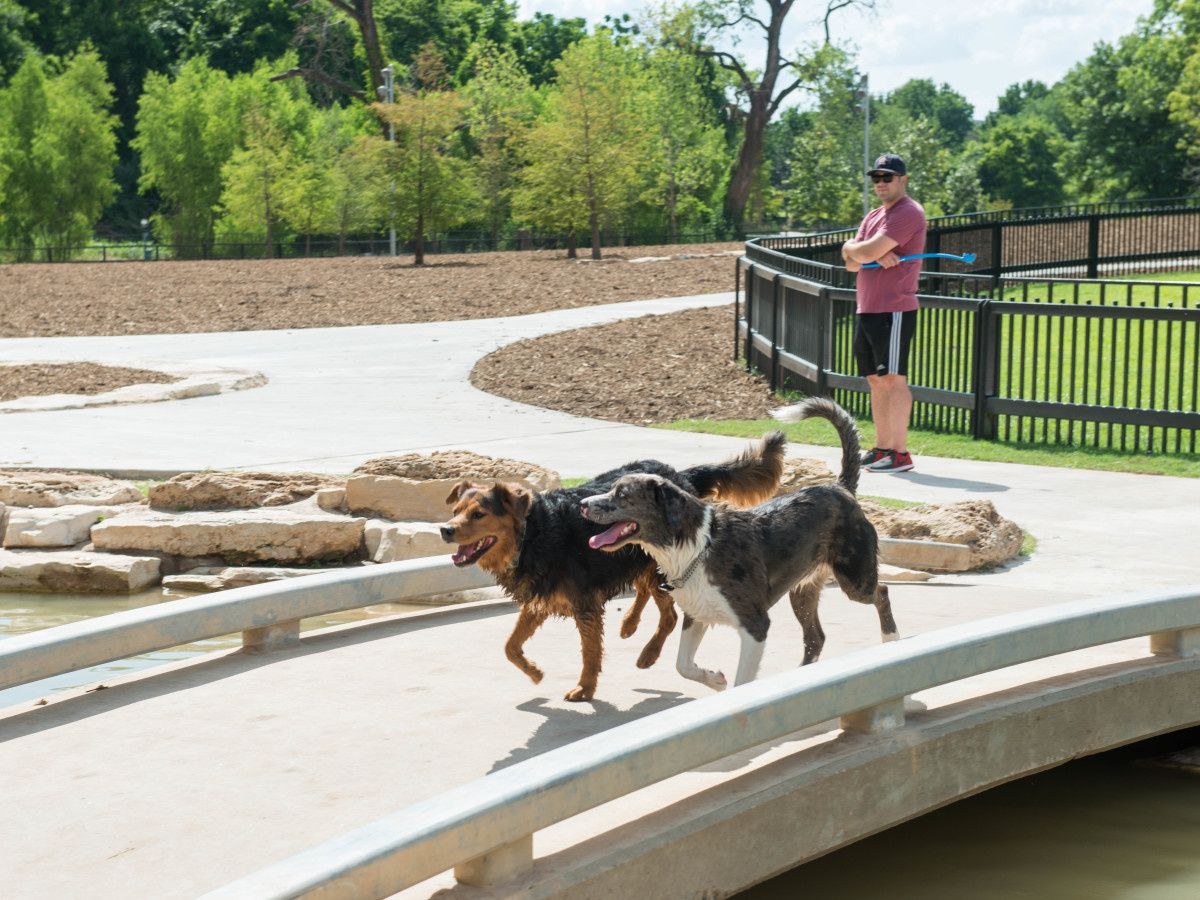 Readers respond to Ken Hoffman's dog park debacle