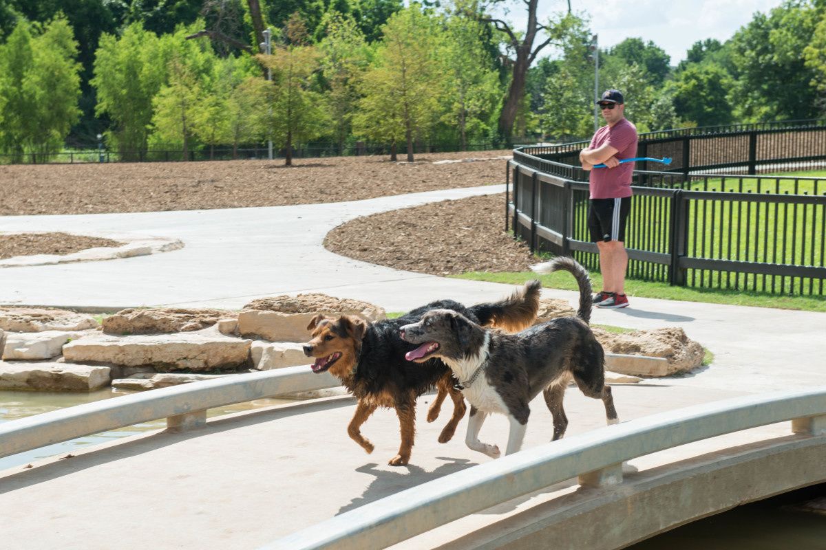 Readers respond to Ken Hoffman's dog park debacle