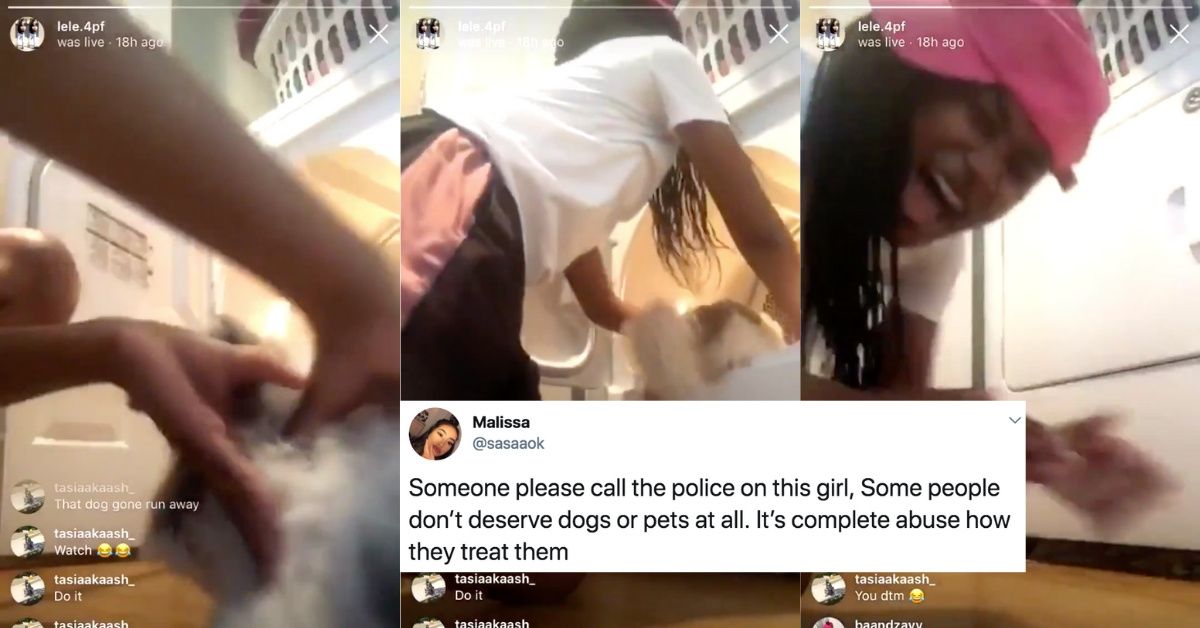 Texas Teen Livestreamed Herself Putting Her Dog In The Dryer And Turning It On