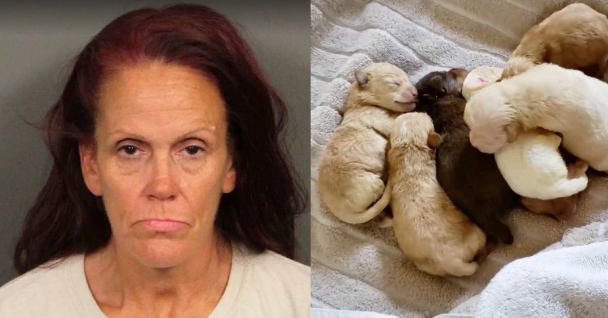 Coachella Woman Who Was Caught Throwing 7 Puppies In A Dumpster Sentenced To Jail Time