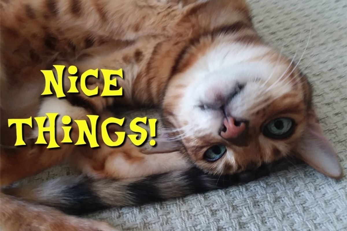 Take A Break With Some Nice Things!