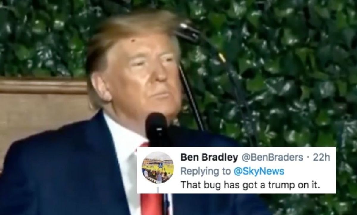 Trump Just Gave A Speech With A Bug Crawling All Over His Face And Hair, And People Are Cringing