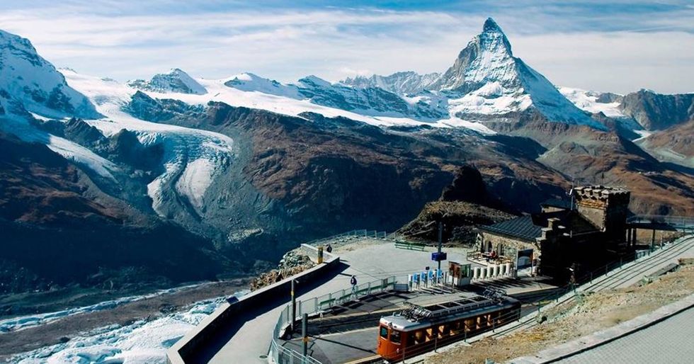 Thirty-one percent of Swiss are either cutting back their meat-eating or going full veggie.
