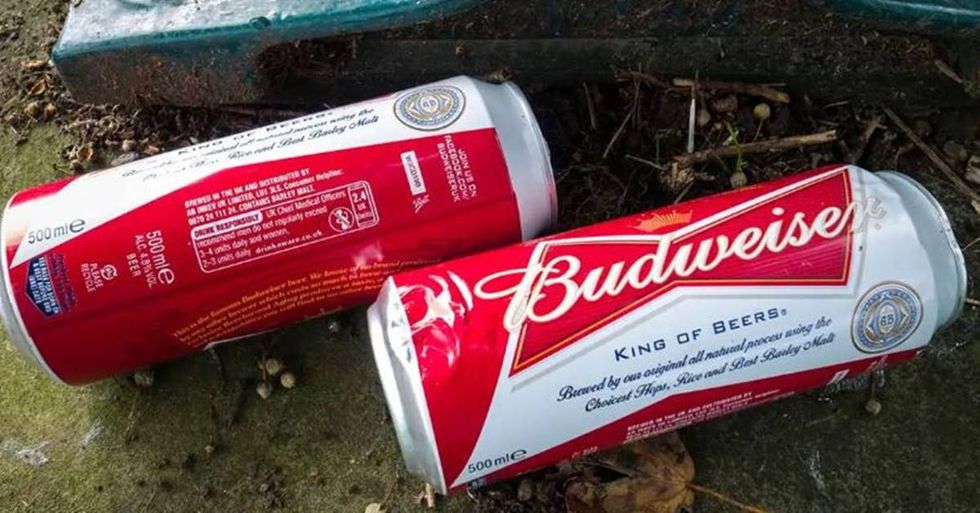 Budweiser now brews their beer with 100% wind energy