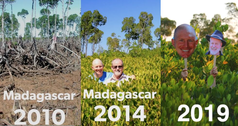 Nonprofit plants its 250 millionth tree in order to help heal the planet