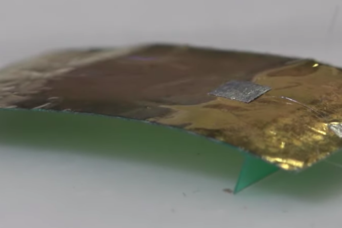 Robotic cockroach invented that can’t be squashed under your foot