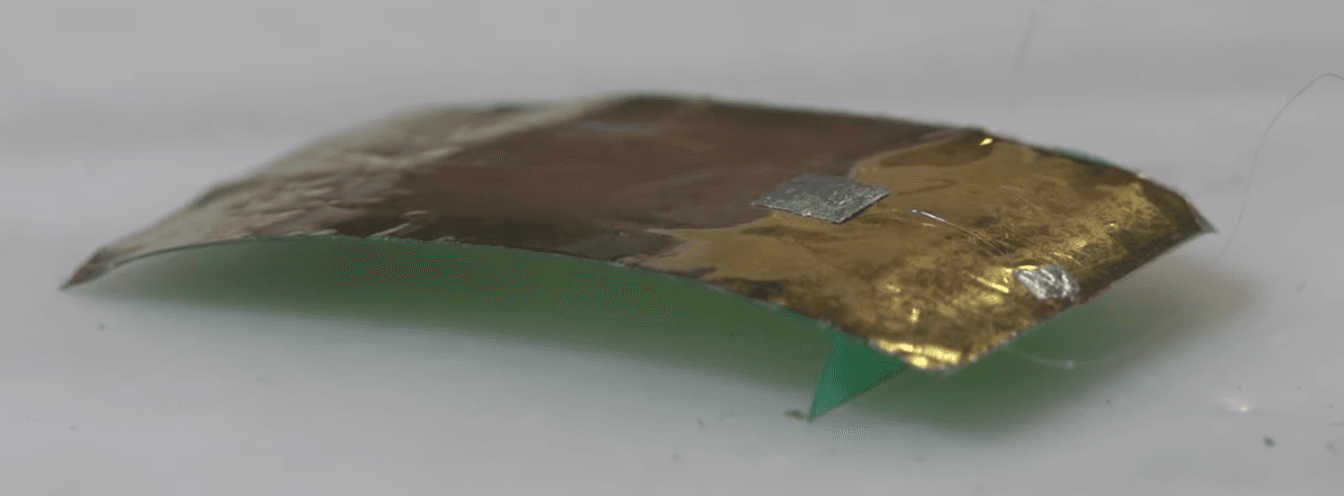 Robotic cockroach invented that can’t be squashed under your foot