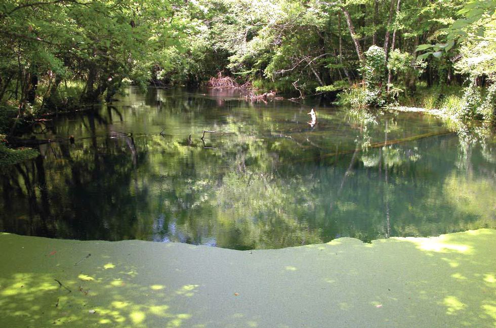 See stunning natural bridges in these 9 Southern states It's a