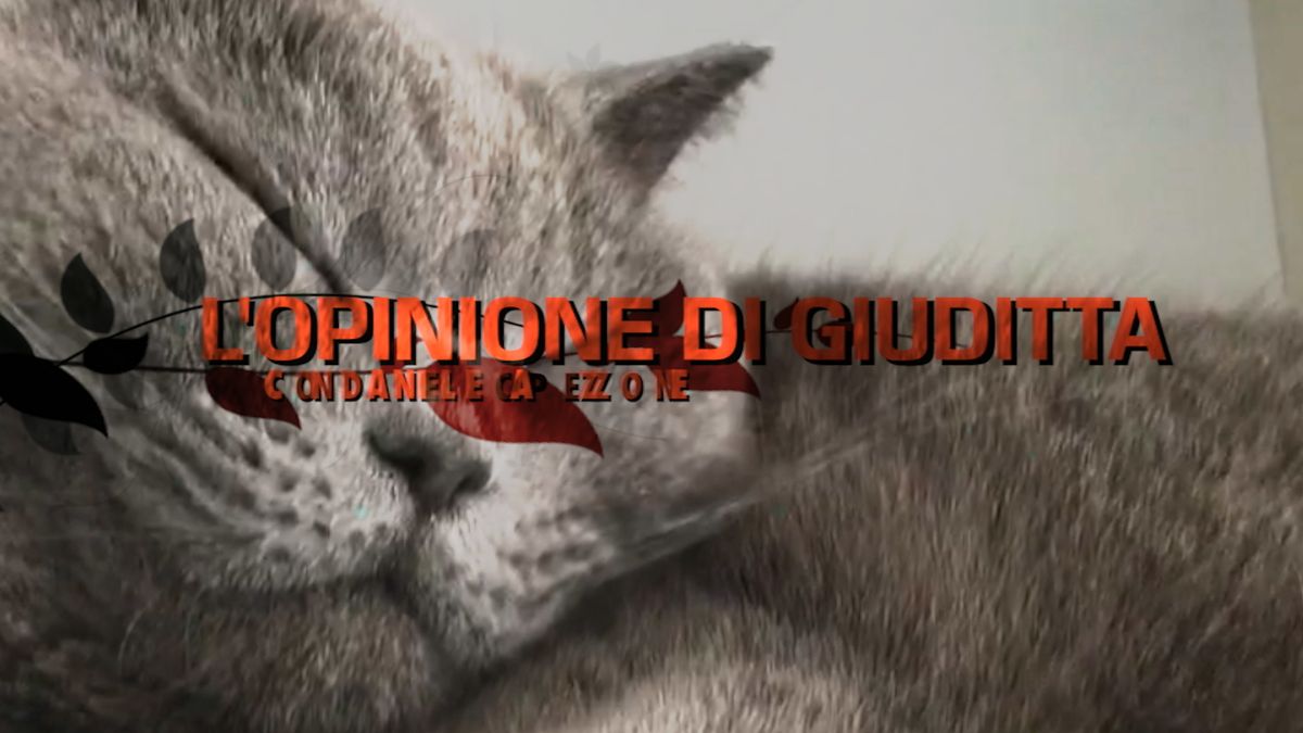 Salvini, volpone, ha capito che l’arena politica è cambiata. Il Papeetegate manda in confusione la sinistra