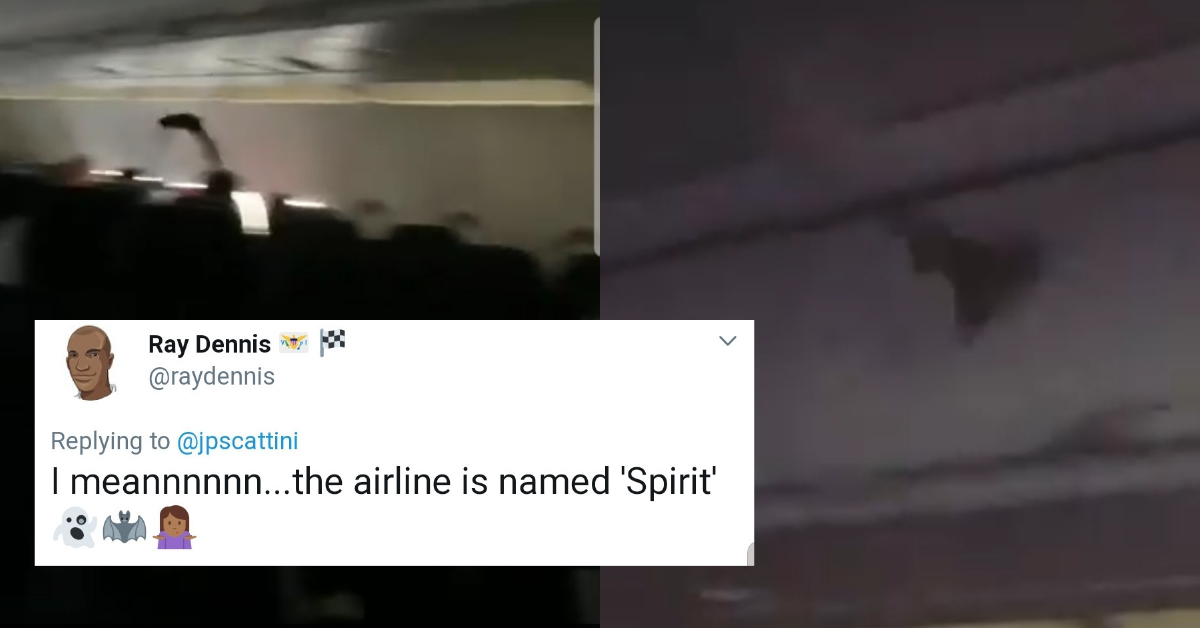 Bat Aboard Spirit Airlines Flight Sends Passengers Into Full-On Chaos And Panic Mode