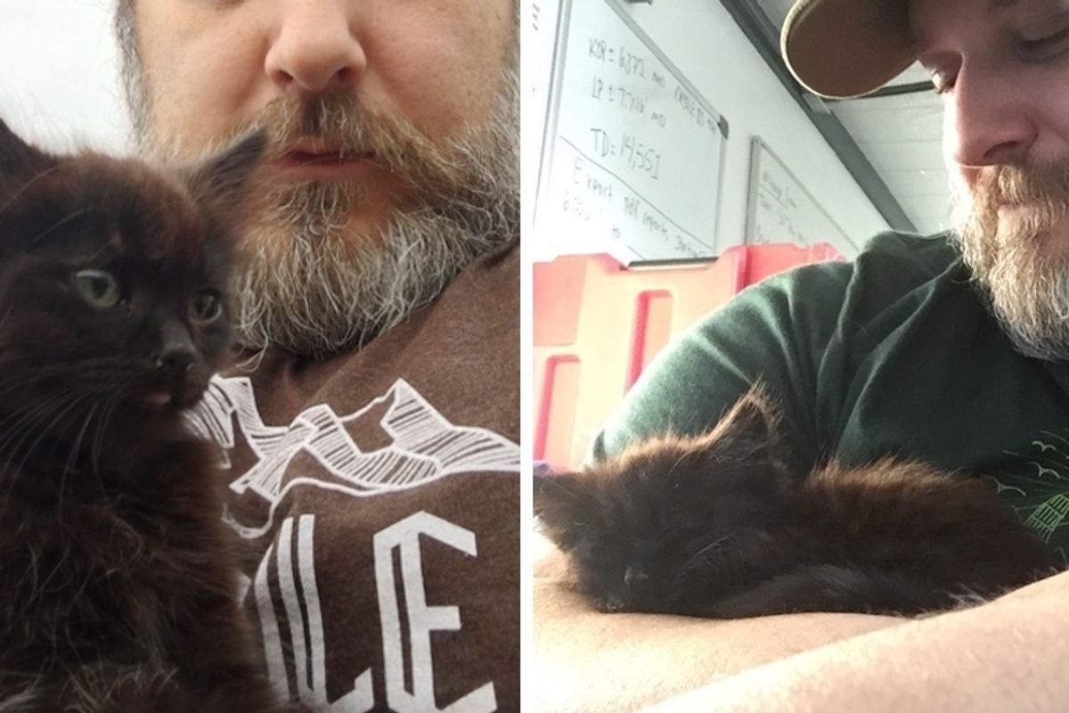 Kitten Races to Geologist, Climbs Onto His Shoulders and Won't Let Go