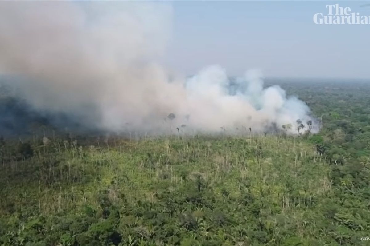 The Amazon Is On Fire. Bummer If You're A Fan Of Oxygen.