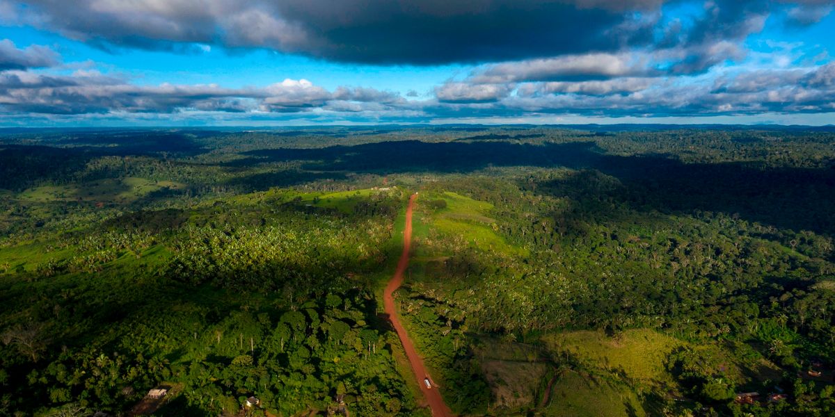 The Amazon Rainforest Is Burning at Historic Rates