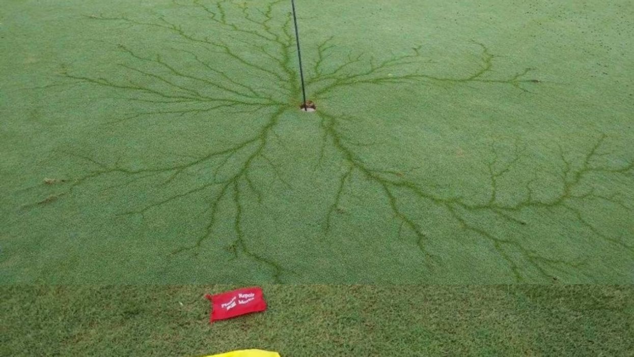 Lightning strikes North Carolina golf course, makes most unique hole-in-one we've ever seen