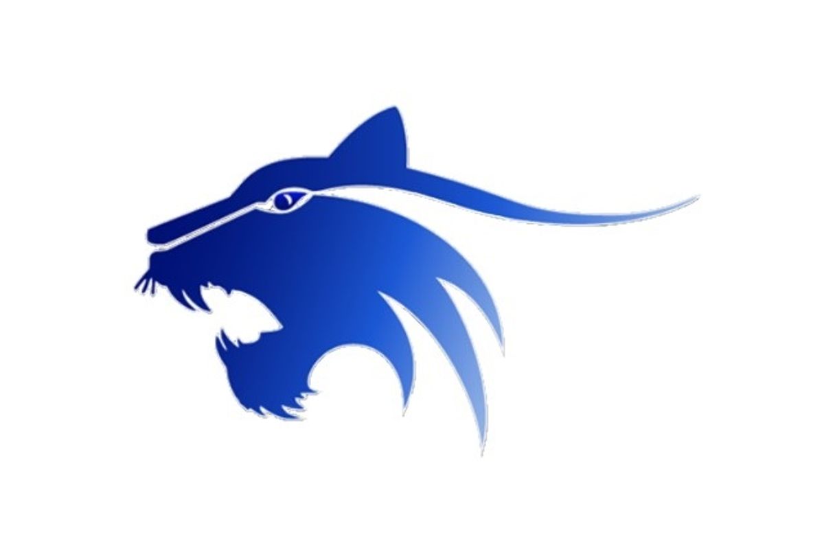 2019 VYPE Arkansas Har-Ber Wildcats Football Preview