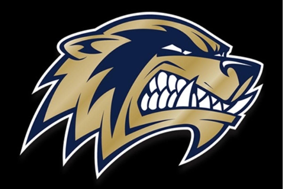 2019 VYPE Arkansas Bentonville West Wolverines Preview