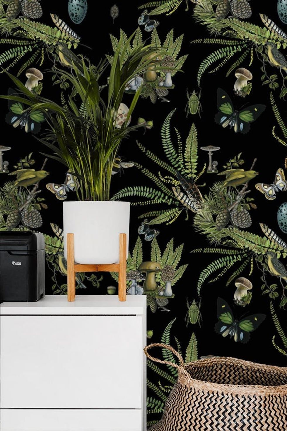 10 Trendy Temporary Wallpapers Every Plant Lady Will Love