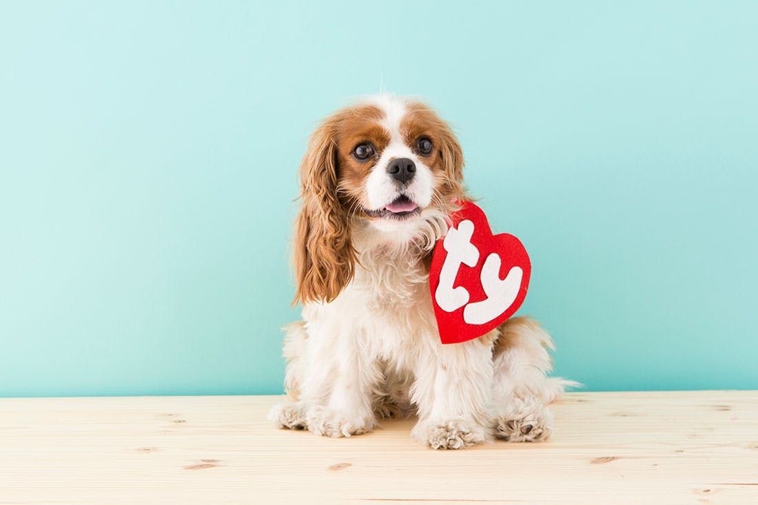 beanie baby costume for baby