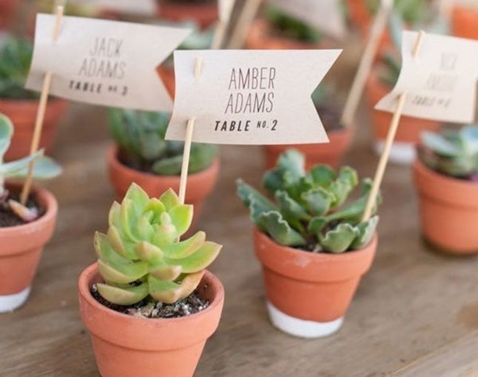 42 Creative Ways To Use Succulents In Your Wedding Brit Co