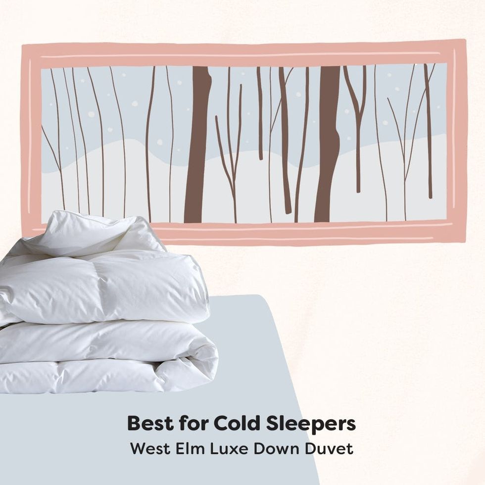 6 Best Comforters For Year Round Snuggles Brit Co
