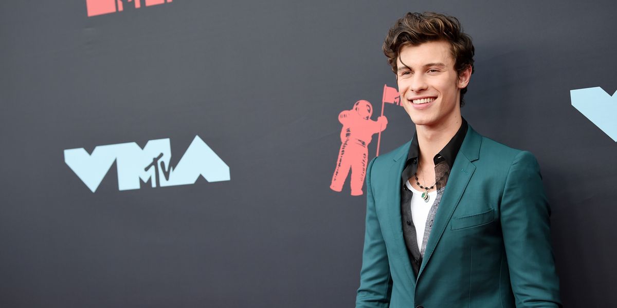 Shawn Mendes Walks MTV VMAs Red Carpet Alone