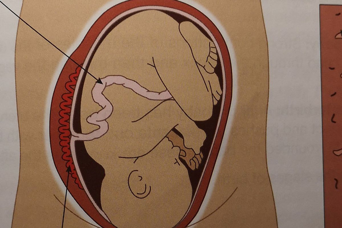 Textbook criticized for showing a Brazilian wax on an illustration of a pregnant woman