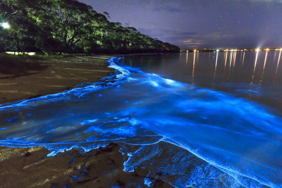 6 Places in the World to Witness Bioluminescence - Pacsafe