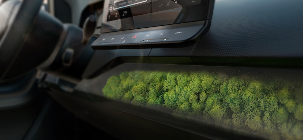 Moss of Sono Motor Sion interior