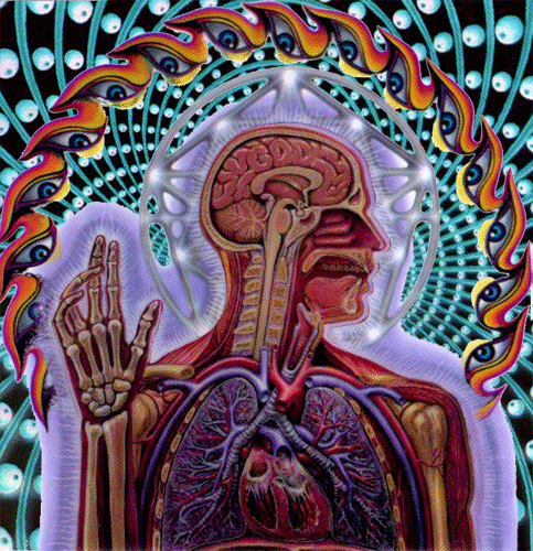 tool new album