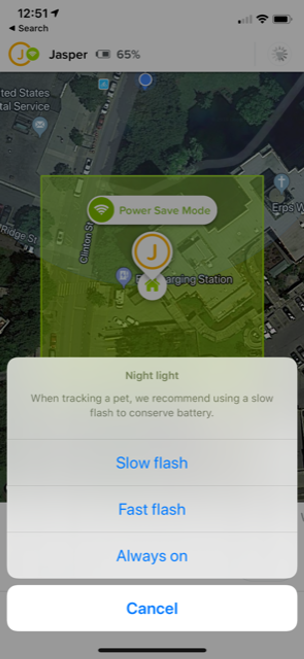 A screenshot of the Whistle app with night light blinking options