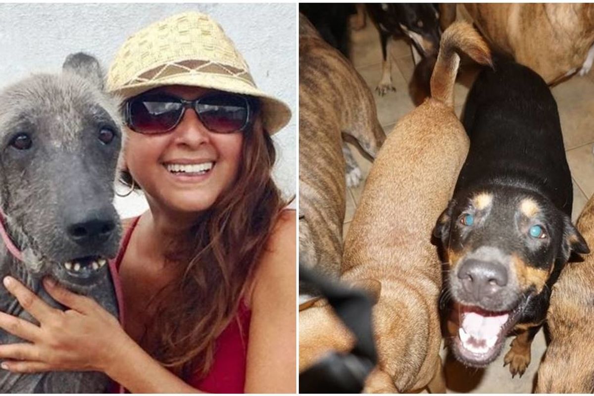 A woman in the Bahamas took in nearly 100 stray dogs to save them from Hurricane Dorian