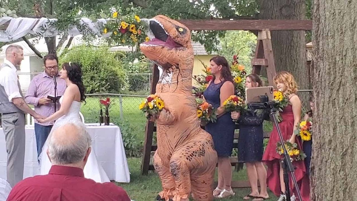 Texas maid of honor wears giant, inflatable T-Rex costume to wedding cermony