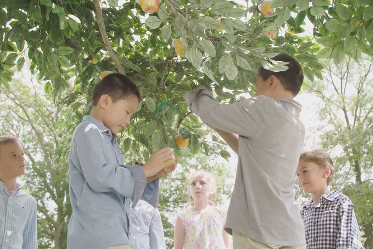 The first day of school was a lot less scary for these kids thanks to Dole’s inspiring tree