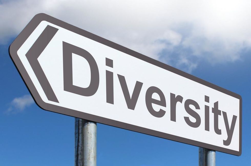 Do Chief Diversity Officers Make a Difference?