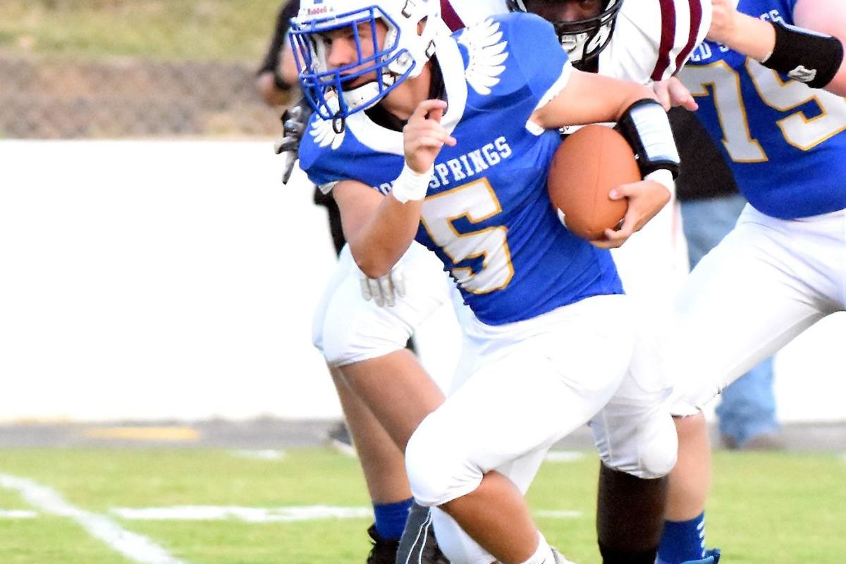 PREP ROUNDUP: Cold Springs holds off Southeastern 34-33; Ellis leads Fairview to victory; Hanceville shuts out J.B. Pennington; Addison, Good Hope earn wins