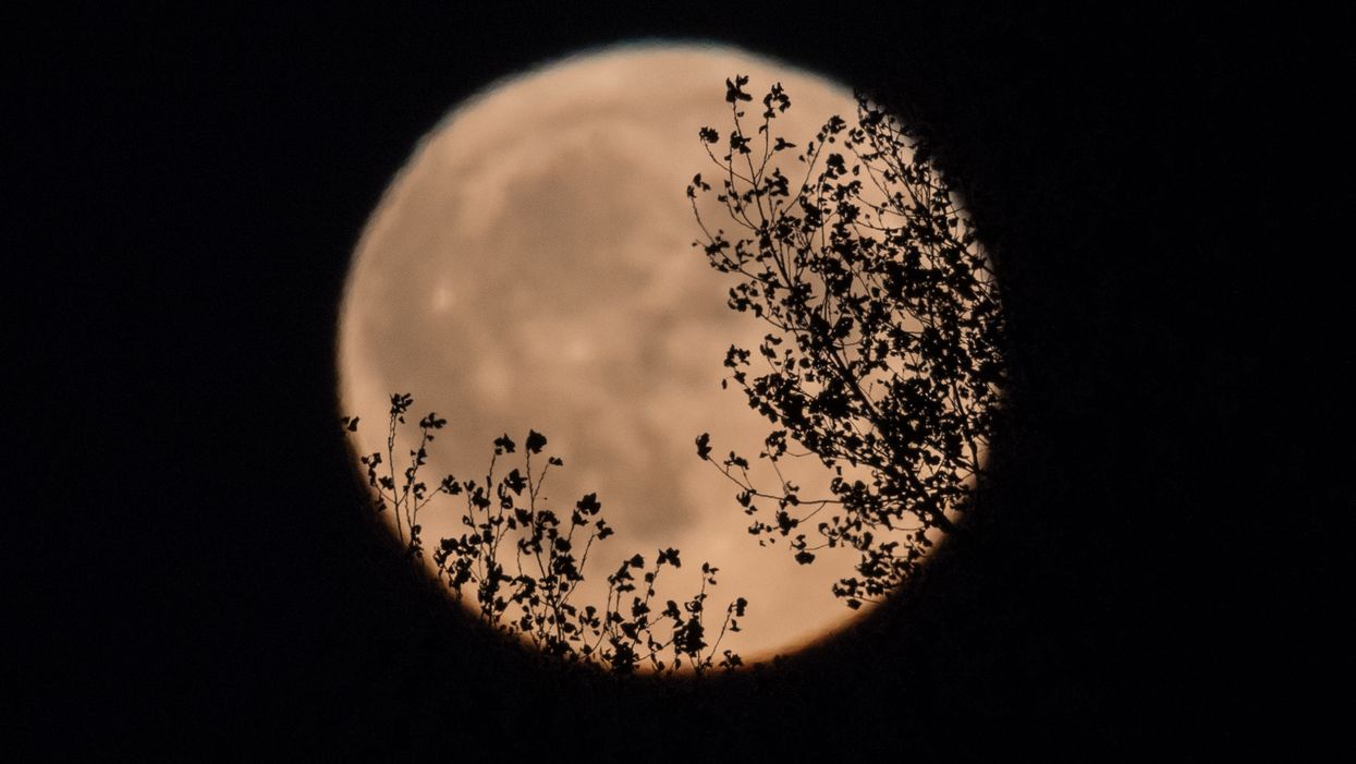 Full Harvest Moon to rise on Friday the 13th for the first time in nearly 20 years