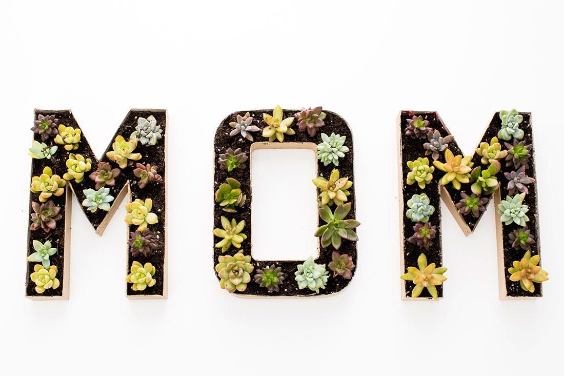 mothers day planter