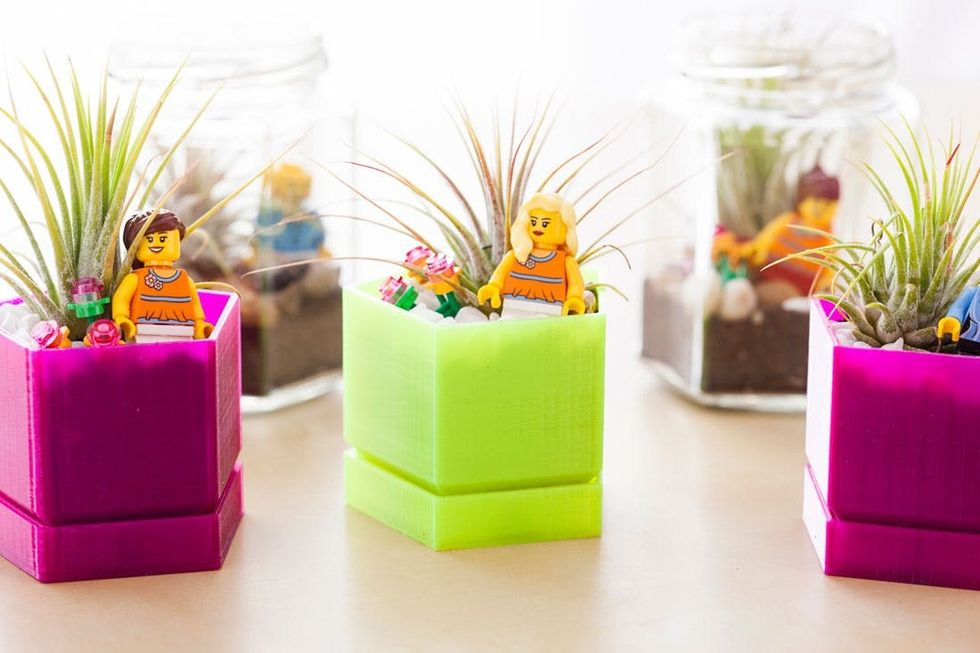 What Do Legos Air Plants And A 3d Printer Have In Common These Terrariums Brit Co