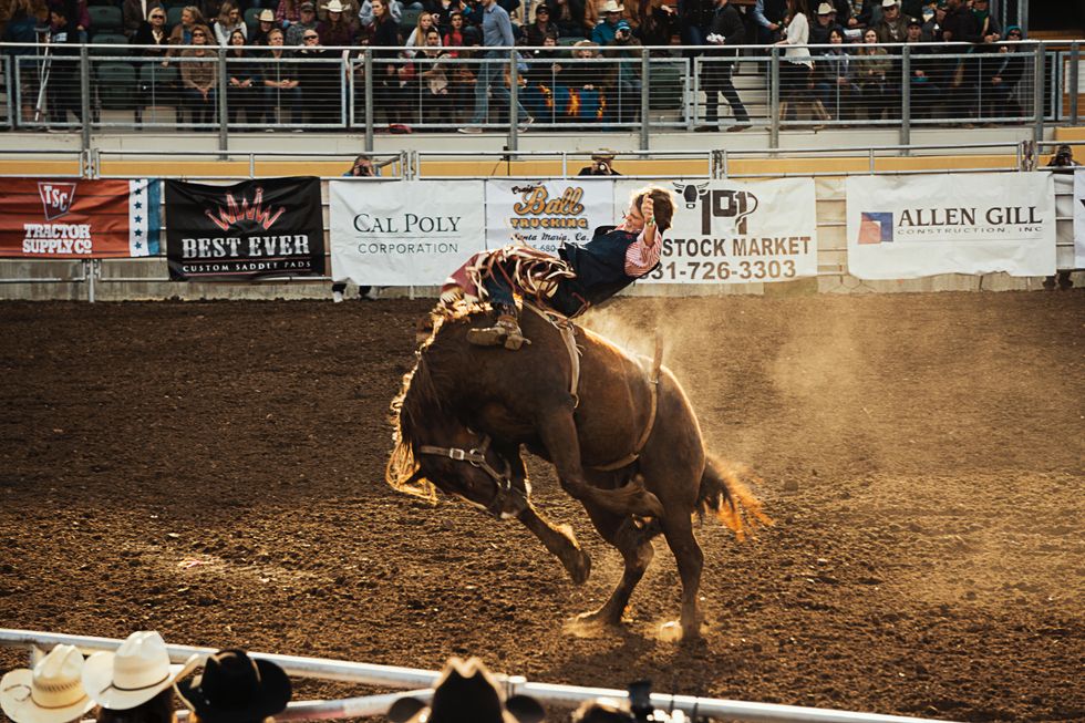 6 Thoughts You Have When Your Horse Is Bucking As Told Through Gifs