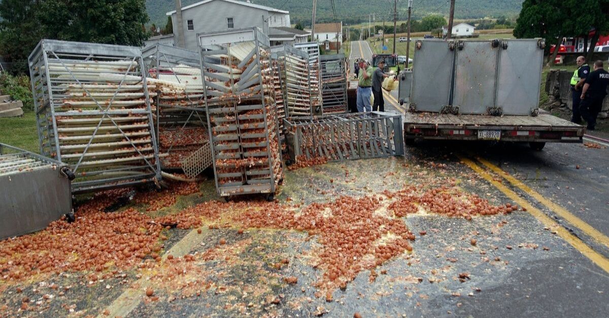 More Than 136,000 Eggs Create Huge Mess On Pennsylvania Road After Falling Off Trailer