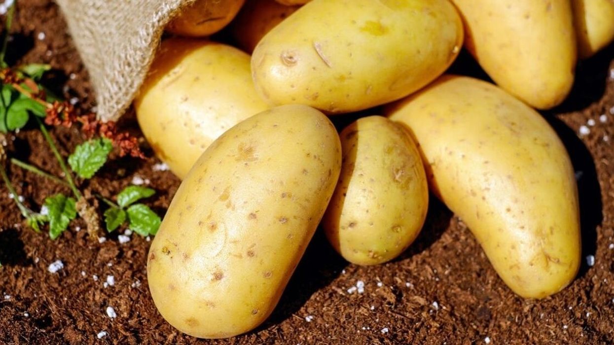 People Debate The Absolute Best Way To Eat Potatoes